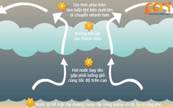 Gió Bão: Cơ Chế Hình Thành, Cấp Độ và Biện Pháp Phòng Tránh