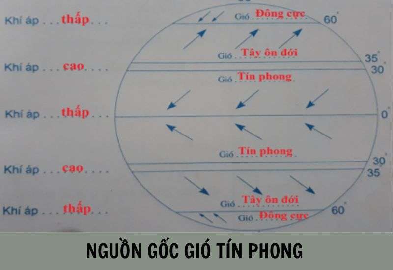 Gió Tín Phong (Mậu Dịch): Nguồn Gốc, Hướng Thổi và Tầm Quan Trọng