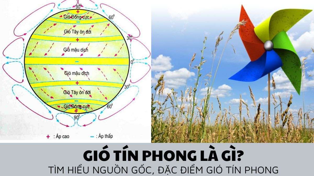 Gió là gì? Khái niệm cơ bản và tầm quan trọng trong tự nhiên