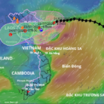 Đặc Điểm Của Gió: Tốc Độ, Hướng, Ảnh Hưởng & Ứng Dụng Năng Lượng