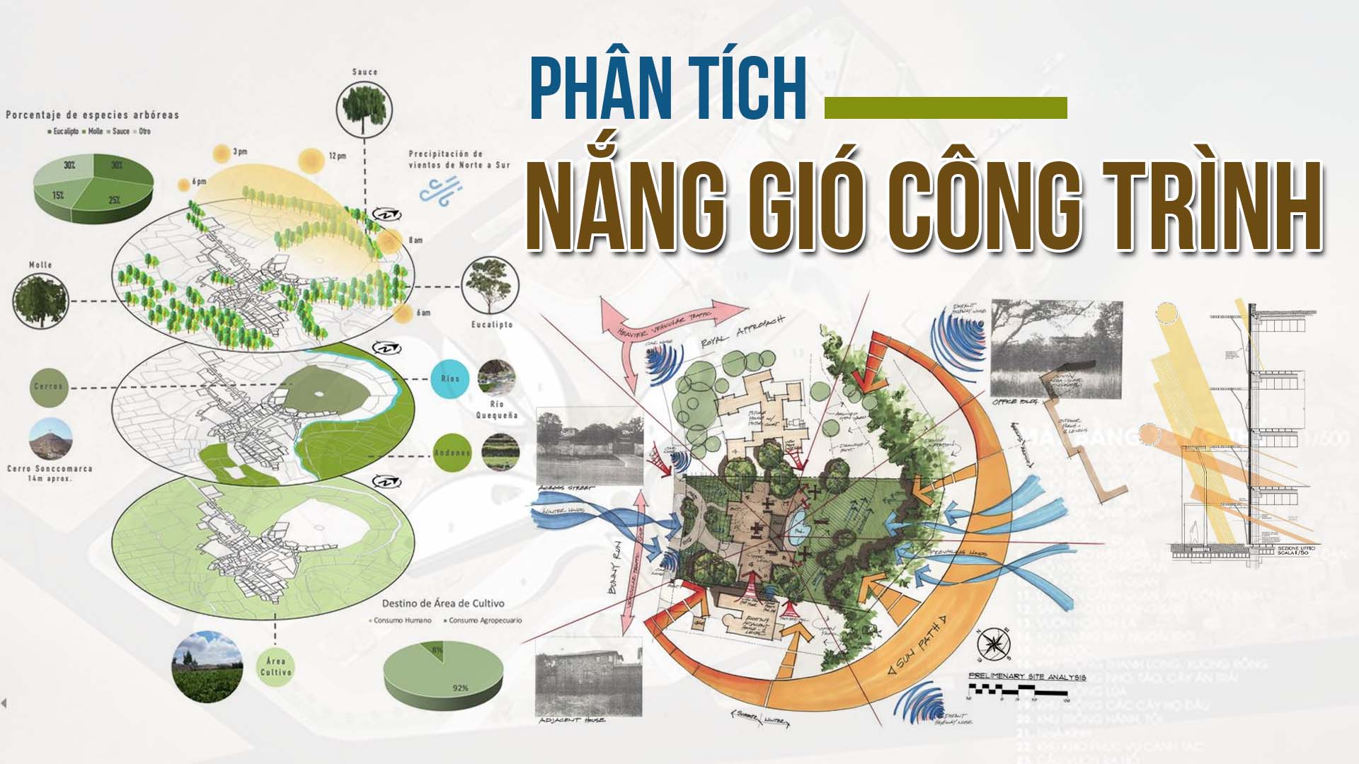 Các yếu tố khí tượng tác động đến hướng và tốc độ gió
