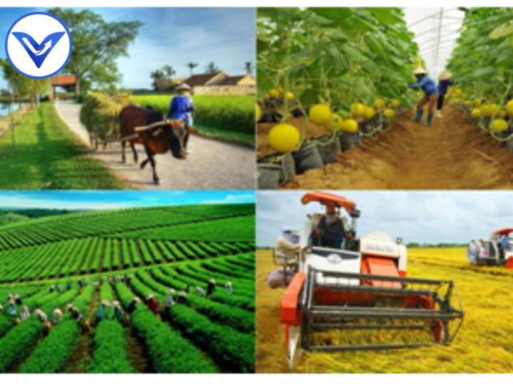Gió Mùa Đông Nam: Đặc Điểm, Ảnh Hưởng Đến Thời Tiết, Nồm Ẩm, Và Cách Ứng Phó 2 Tác Động của Gió Mùa Đông Nam Đến Nông Nghiệp và Đời Sống