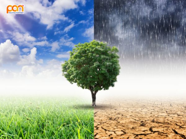 Gió Mùa Đông Nam: Đặc Điểm, Ảnh Hưởng Đến Thời Tiết, Nồm Ẩm, Và Cách Ứng Phó 5 Biến Đổi Khí Hậu và Sự Thay Đổi của Gió Mùa Đông Nam