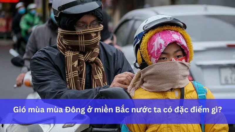Gió Mùa Đông Nam: Đặc Điểm, Ảnh Hưởng Đến Thời Tiết, Nồm Ẩm, Và Cách Ứng Phó 6 Gió Mùa Đông Nam: Góc Nhìn Khoa Học và Ứng Dụng Trong Đời Sống