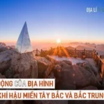Nguyên Nhân Hình Thành Gió Mùa Chủ Yếu Là Do: Giải Thích Chi Tiết Nhất!