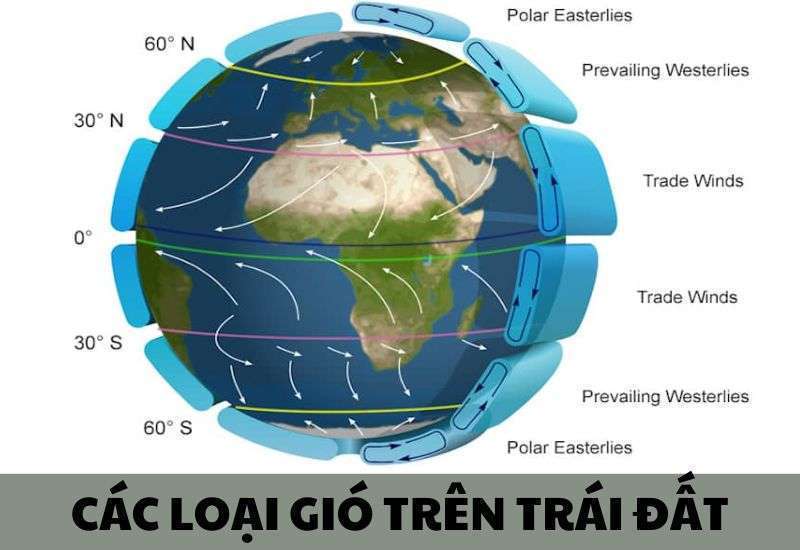 Các loại gió phổ biến trên Trái Đất: Gió mậu dịch, gió mùa, gió địa phương...
