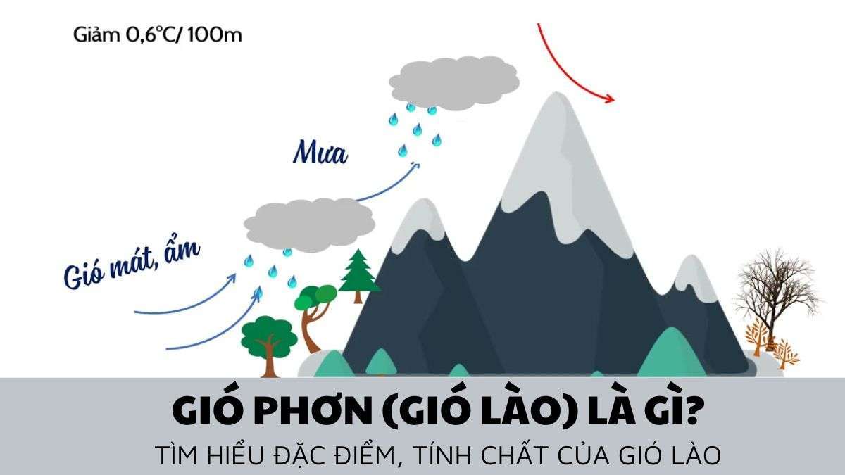 phong la gio 4