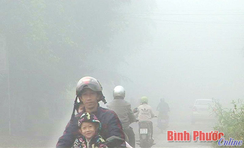 Tác động của sương mù đến đời sống và kinh tế: Giao thông, nông nghiệp, sức khỏe