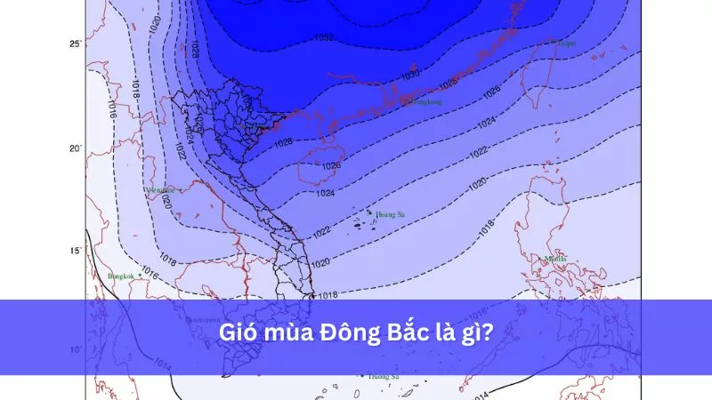 Tại Sao Lại Có Gió? Giải Thích Nguyên Nhân, Cơ Chế Hình Thành Gió 5 Tác động của gió đến đời sống và môi trường: Khám phá lợi ích và tác hại của gió.