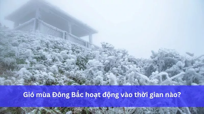Gió Mùa Đông Bắc Xuất Phát Từ Đâu? Giải Mã Nguồn Gốc, Ảnh Hưởng Miền Bắc 3 Khu vực xuất phát chính của gió mùa Đông Bắc: Siberia và cao áp lạnh