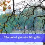 Gió Mùa Đông Bắc Xuất Phát Từ Đâu? Giải Mã Nguồn Gốc, Ảnh Hưởng Miền Bắc