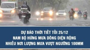 Lượng Mưa 100mm Là Gì? Ảnh Hưởng, Nguy Cơ Lũ Lụt Và Ứng Phó