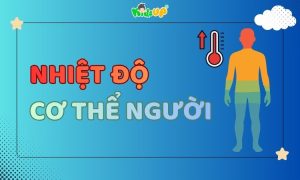 Sự thay đổi nhiệt độ cơ thể theo độ tuổi và vị trí đo