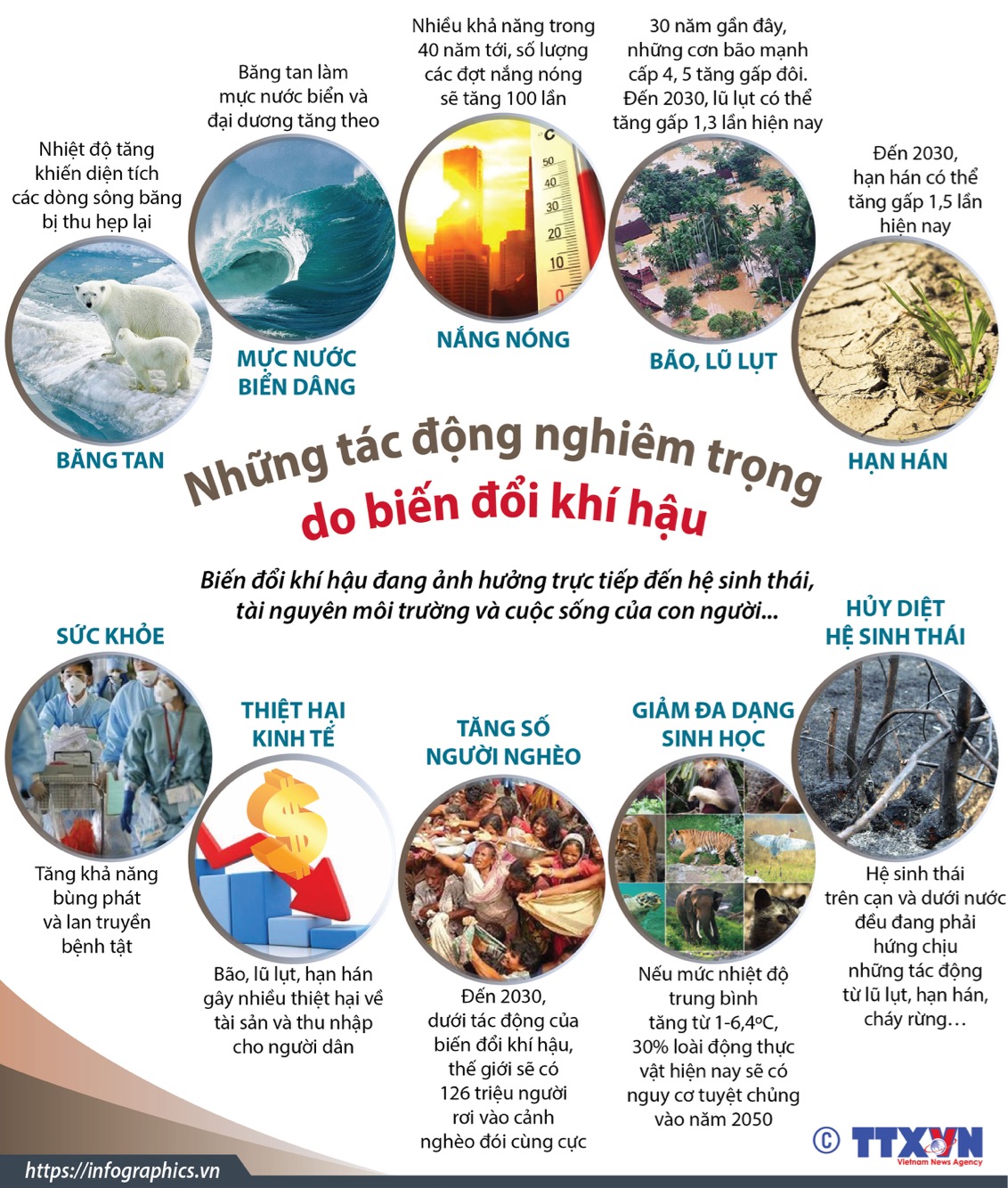 Nhiệt Độ Nước Biển Phụ Thuộc Vào Nhiệt Độ Của Cái Gì? Bức Xạ Mặt Trời, Khí Quyển, Hải Lưu Đại Dương 5 Tác động của Biến đổi khí hậu và Hoạt động con người