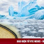 Nhiệt Độ Trung Bình Của Đại Dương Thế Giới Là Bao Nhiêu: Thực Trạng Nóng Lên Toàn Cầu?
