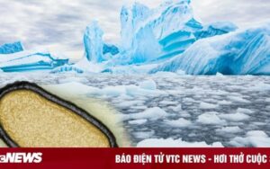 Nhiệt Độ Trung Bình Của Đại Dương Thế Giới Là Bao Nhiêu: Thực Trạng Nóng Lên Toàn Cầu?