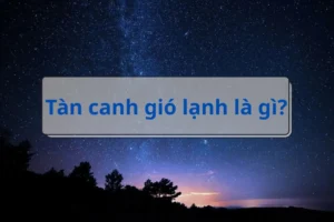 Tàn Canh Gió Lạnh Là Gì? Giải Mã Ý Nghĩa, Nguồn Gốc & Ứng Dụng
