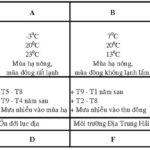 Thế Nào Là Lượng Mưa 100mm? Tác Động, Nguyên Nhân Và Cách Giảm Thiểu