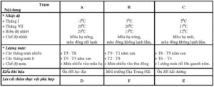 Thế Nào Là Lượng Mưa 100mm? Tác Động, Nguyên Nhân Và Cách Giảm Thiểu