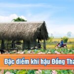 Dự Báo Thời Tiết Đồng Tháp Hôm Nay 26/2/2026: Chi Tiết Nhiệt Độ, Độ Ẩm, Mưa Nắng.