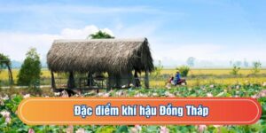 Dự Báo Thời Tiết Đồng Tháp Hôm Nay 26/2/2026: Chi Tiết Nhiệt Độ, Độ Ẩm, Mưa Nắng.