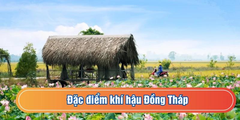 Dự Báo Thời Tiết Đồng Tháp Hôm Nay 26/2/2026: Chi Tiết Nhiệt Độ, Độ Ẩm, Mưa Nắng.